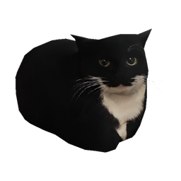 Mochi